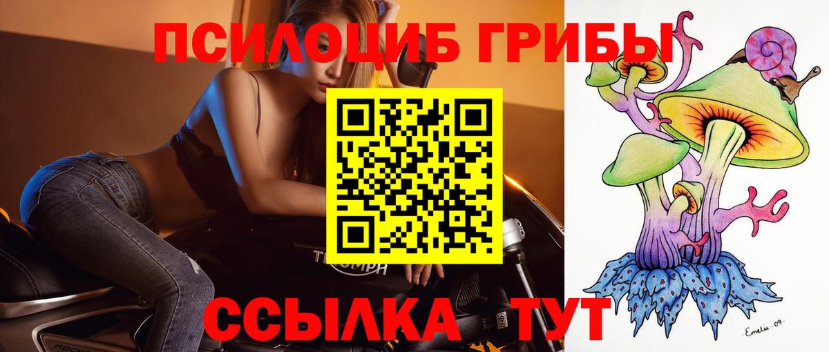 Галлюциногенные грибы GOLDEN TEACHER  Вход с VPN  Ростов Великий 