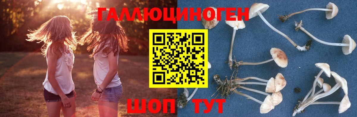 Псилоцибиновые грибы MAGIC MUSHROOMS Ростов Великий